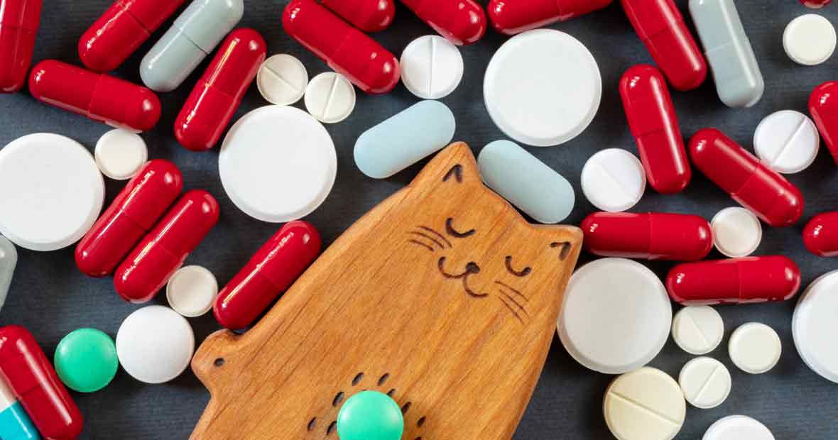 compléments alimentaires pour animaux